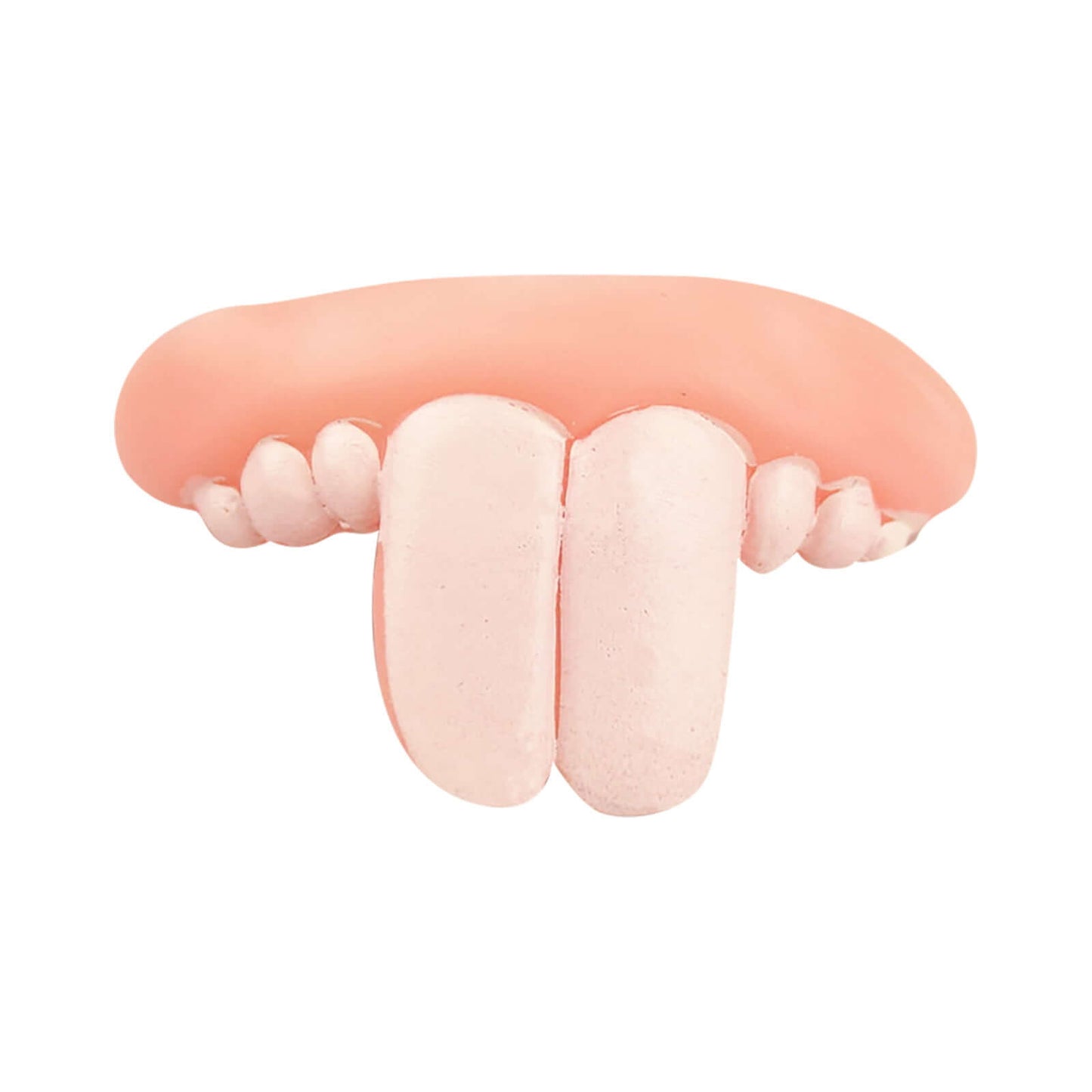 Buy 1 Get 2 | Dog Denture Toy