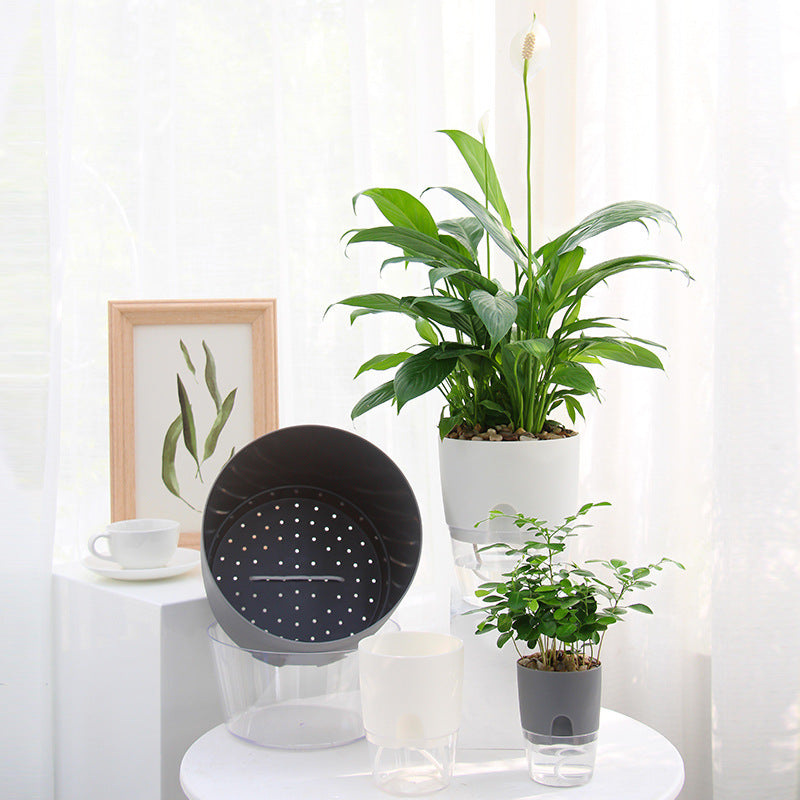 Unava™ self-watering pot - Always beautiful and healthy plants (50% discount)