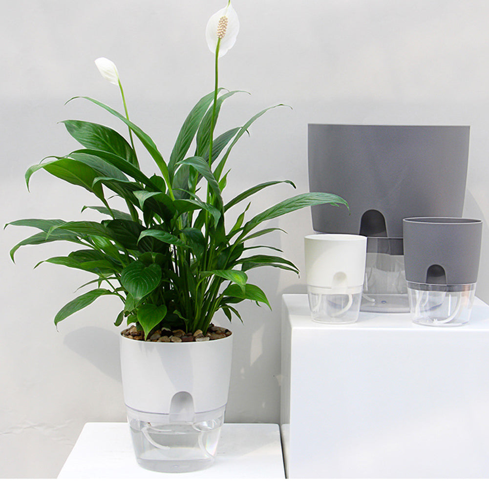 Unava™ self-watering pot - Always beautiful and healthy plants (50% discount)